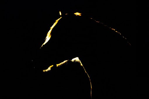 Free Night Dark photo and picture