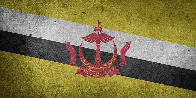 Flag, Brunei, Asien, Grunge