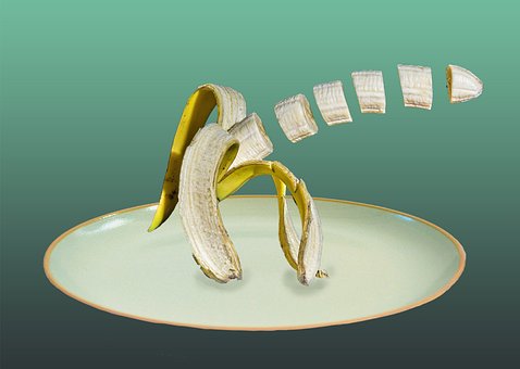 Free Fruit Bananas photo and picture