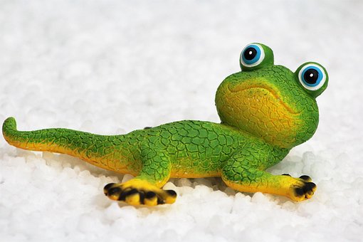 Free Gecko Yellow photo and picture