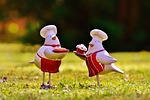 cooking, cook, bake