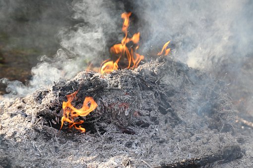 Free Fire Fireplace photo and picture