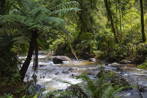Free Water River photo and picture