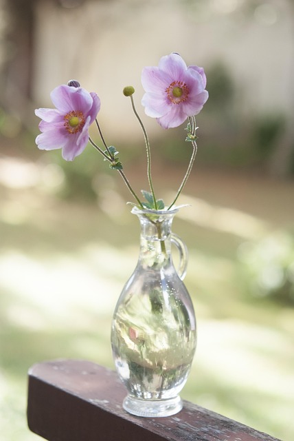 Free Glass Vase photo and picture