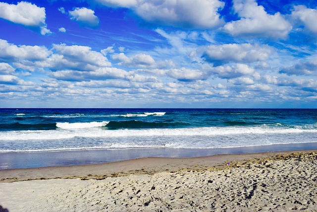 Free Earth Day Beach photo and picture