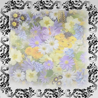 Free Frame Template illustration and picture