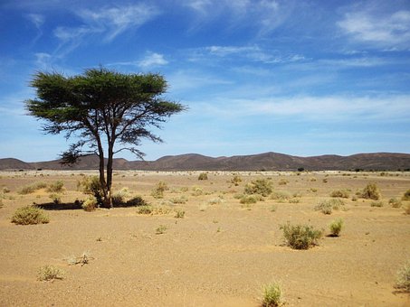 Free Morocco Desert photo and picture