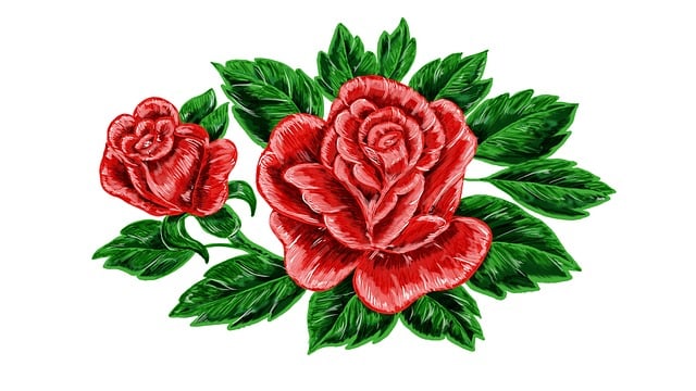 Free rose flower nature illustration