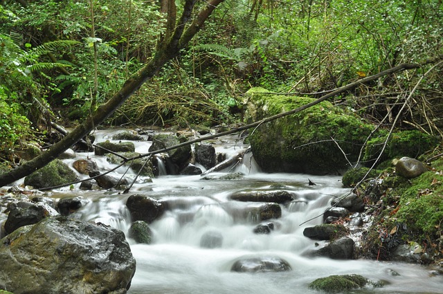 Free River Morcín photo and picture