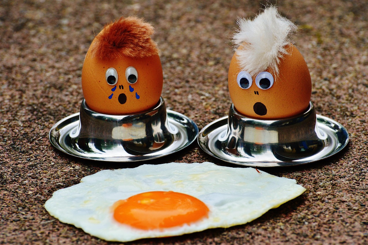 Eggs Fried Egg Grief Free photo on Pixabay