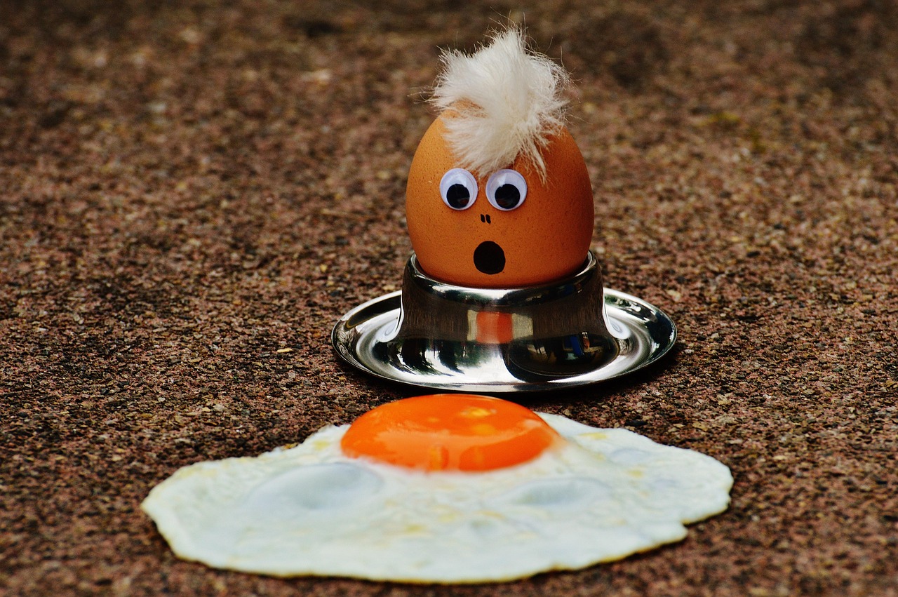 Eggs Fried Egg Grief Free photo on Pixabay Pixabay