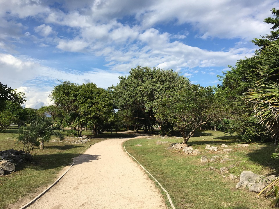 La Nature Chemin Arbres - Photo gratuite sur Pixabay - Pixabay