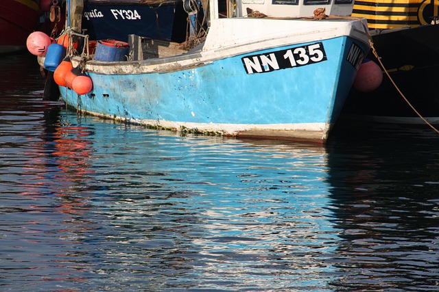 Bote, Reflexión, Cáscara, Agua, Puerto