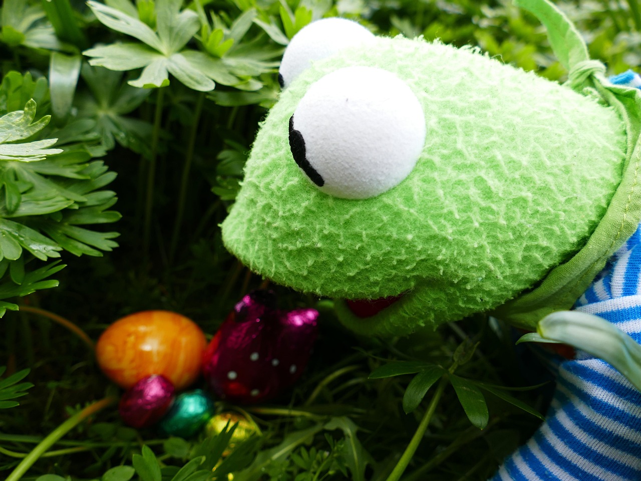 Easter Looking For Eggs Free photo on Pixabay Pixabay