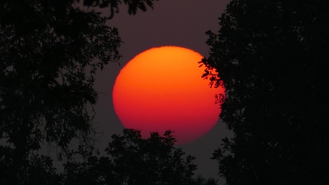 Free Sunset Nature photo and picture
