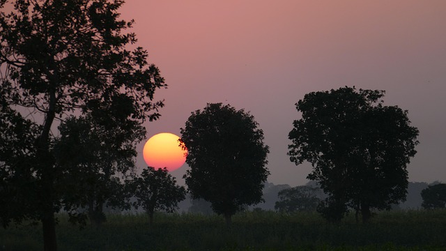 Free Sunset Red photo and picture