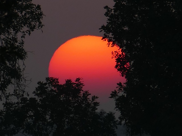 Free Sunset Red photo and picture