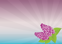 vielen-dank-karte-gru-kostenloses-bild-auf-pixabay