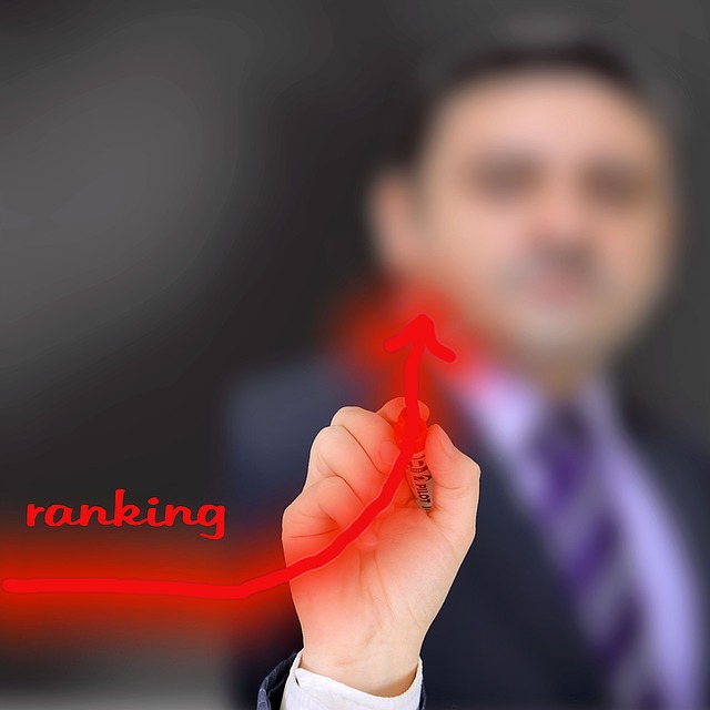 Ranking, Placering, Mål, Stod, Status