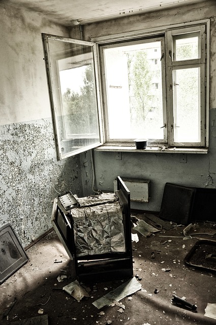Free Pripyat Chernobyl photo and picture