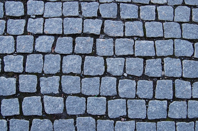 Free Cobblestone Street photo and picture