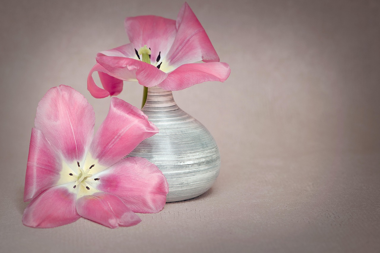 Flower - free online jigsaw puzzle photo