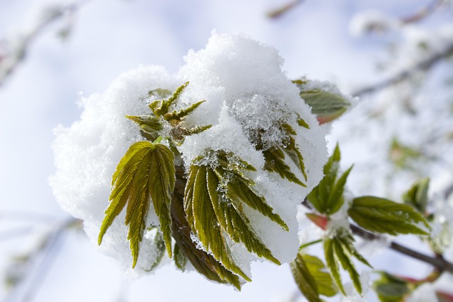 Page 2 - 200,000+ Free Spring In The Country & Nature Images - Pixabay