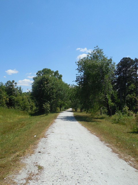 Wanderweg, Wanderung, Wandern, Gehen