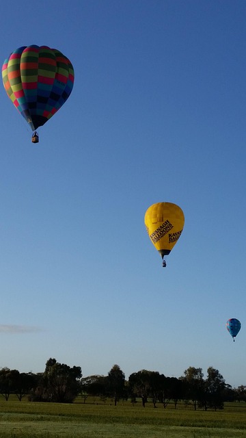 Free Balloons Hot Air Balloons photo and picture