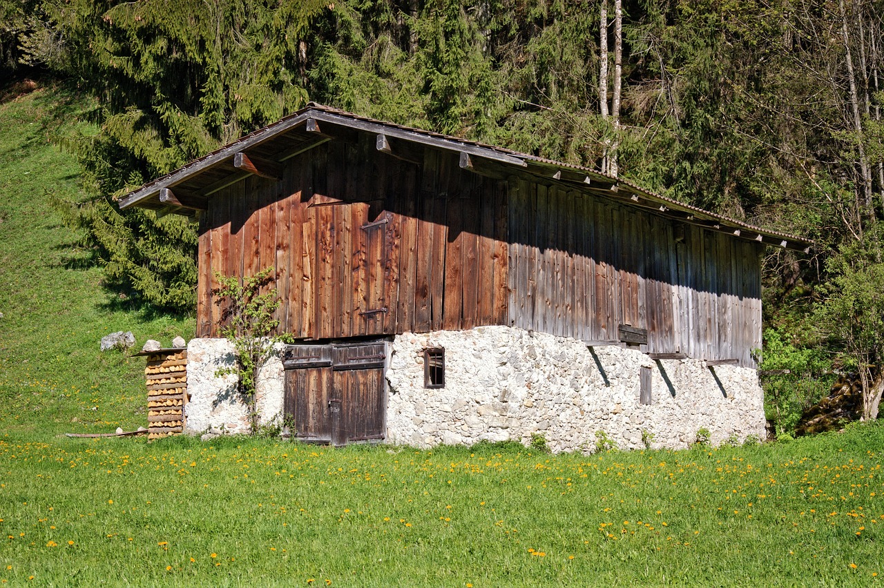 Alm - free online jigsaw puzzle photo