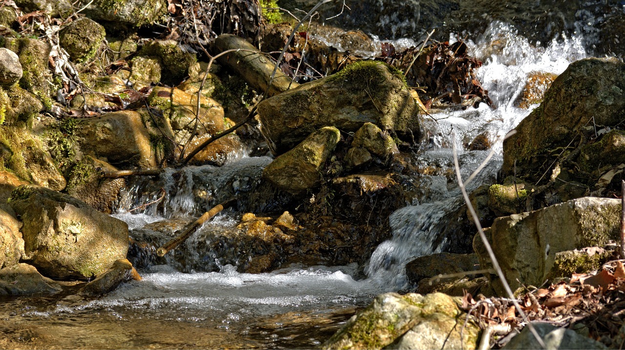 Stream Nature. Examples Stream Nature Water - Free photo on Pixabay - Pixabay