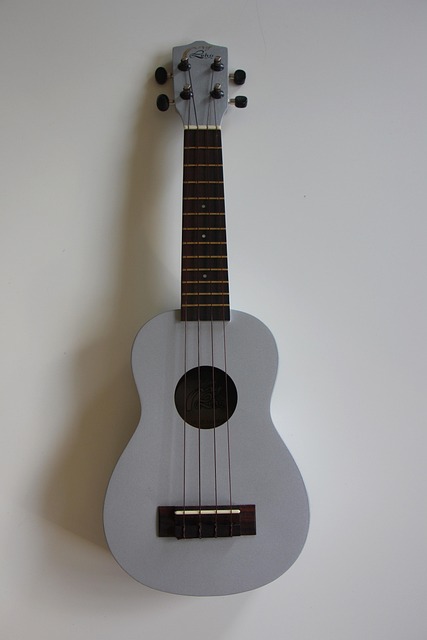 ukulele, instrument, music, pages, musical instrument, sound body, gray, ukulele, ukulele, ukulele, ukulele, ukulele
