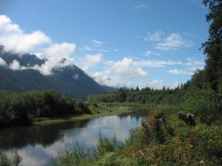 Quinault, Řeka, Park, Olympijský