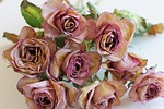 flowers, roses, ros