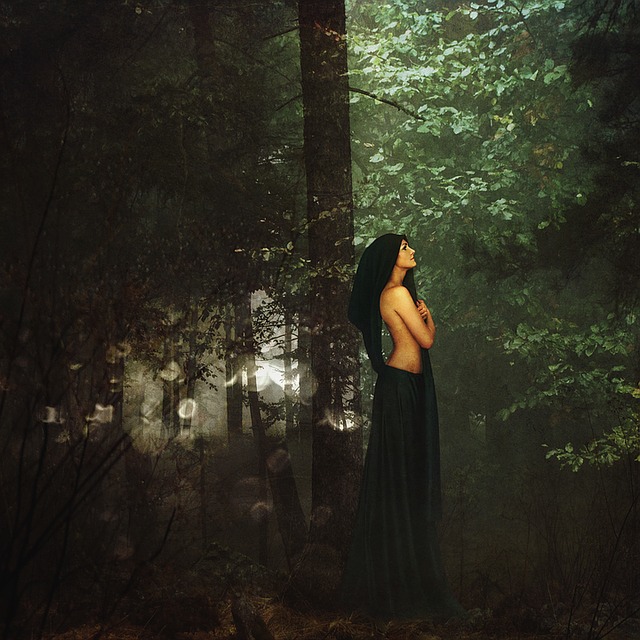 Free forest mist nature illustration