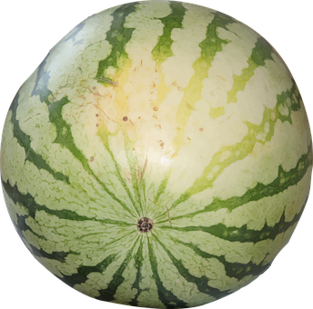 Vandmelon, Bær, Stribet, Grøn