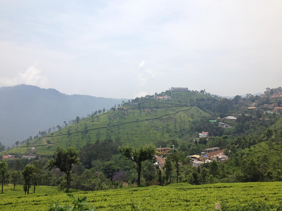Ooty Packages