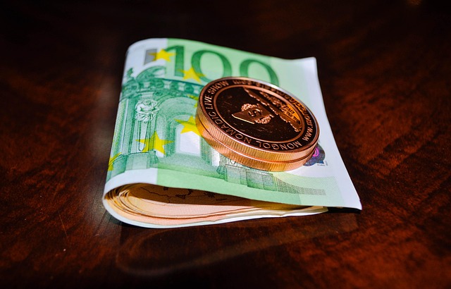 Free Token Euro photo and picture
