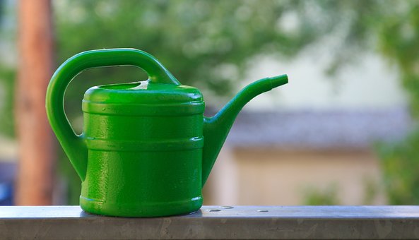 Free Watering Can Wet photo and picture