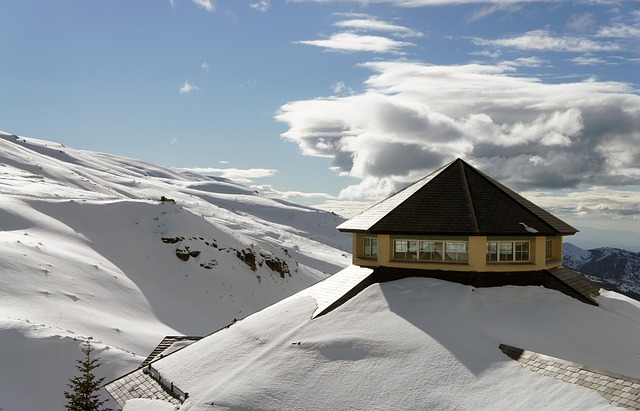 Free Snow Roof photo and picture