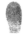fingerprint, mark, finger mark
