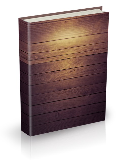Free Book Ecover illustration and picture