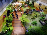 singapore, changi airport, tourists