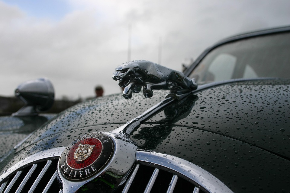 Jaguar Car Vintage Free Photo On Pixabay