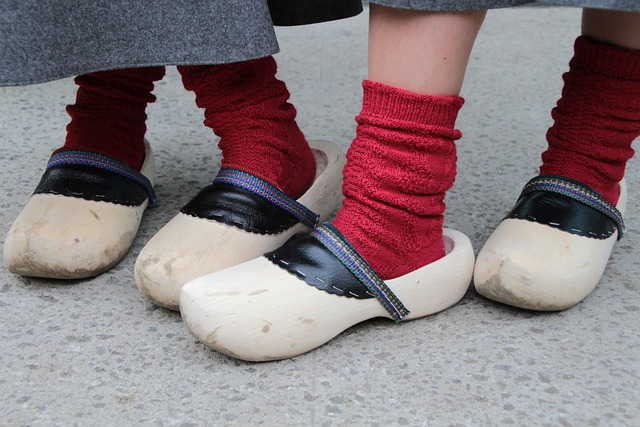 Free Clump Wooden Shoes photo and picture