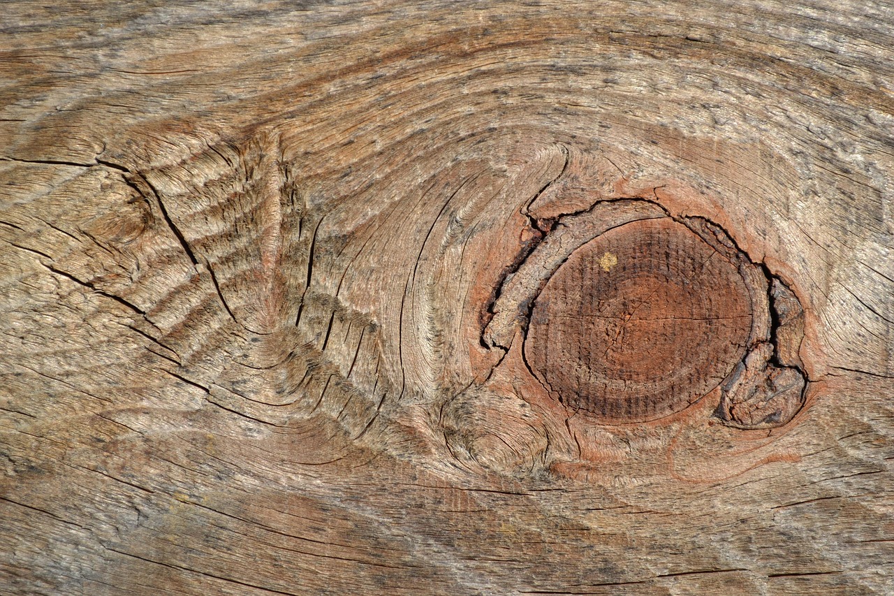 cracks, wood, node, texture, node, node, node, node, node, texture