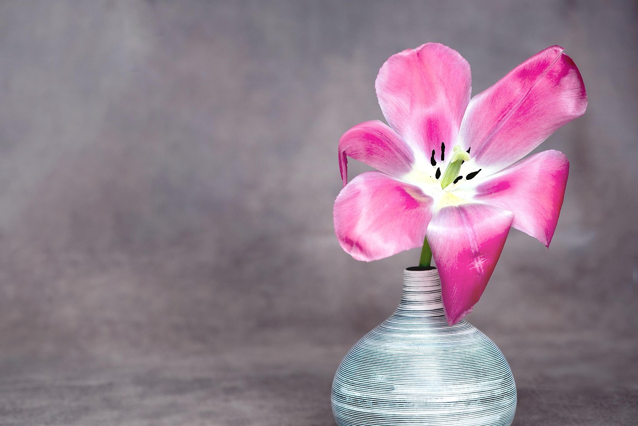Flower - free online jigsaw puzzle photo