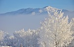 hoar frost, snow white, winter landscape
