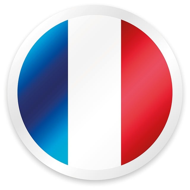 Free button france blue illustration