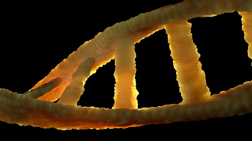 Reality check: Is cancer a disease that strikes at random?